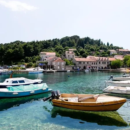 Simunovic 3*
