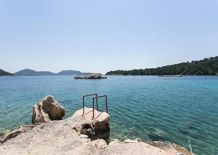 Casa de hóspedes Simunovic Sudurad