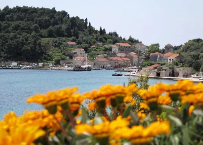 Casa de hóspedes Simunovic